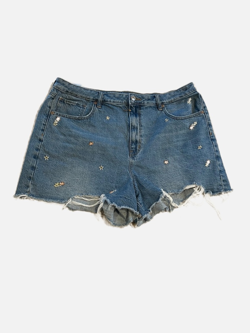 American Eagle Outfitters Blue Denim Embroidered Flowers Frayed-Hem Shorts 18